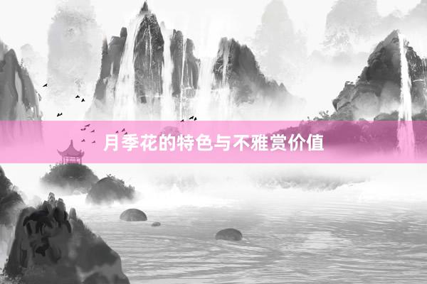 月季花的特色与不雅赏价值