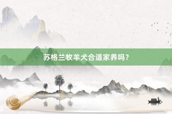苏格兰牧羊犬合适家养吗？
