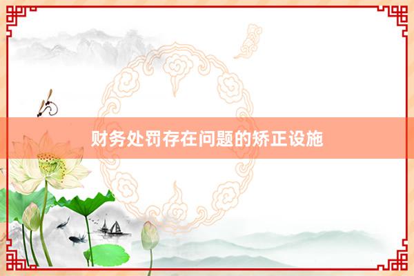 财务处罚存在问题的矫正设施